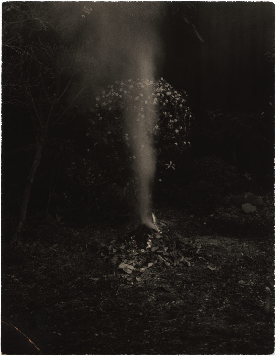 Yamamoto Masao - Small Things in Silence | The Independent